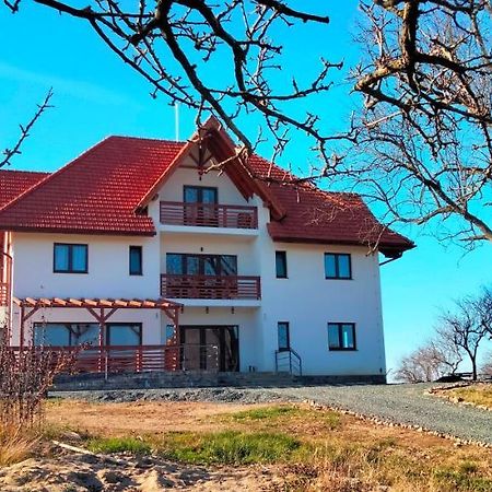 לינה וארוחת בוקר Surdesti  Casa Comilor מראה חיצוני תמונה